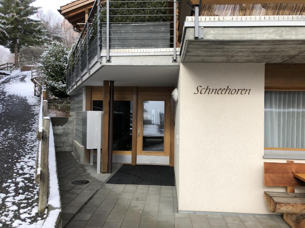Chalet Schneehoren Penthouse Βένγκεν Εξωτερικό φωτογραφία